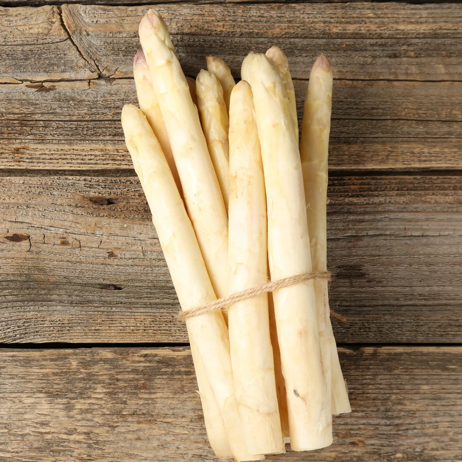 Spargel Argenteuil (x10) - Zarter Spargel direkt geerntet