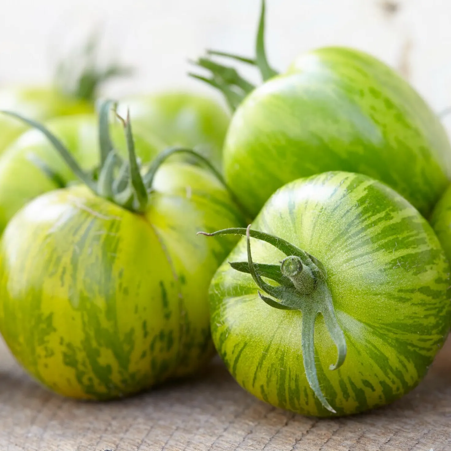Tomate ‘Green Zebra’ - Grün gestreift, voller Aroma