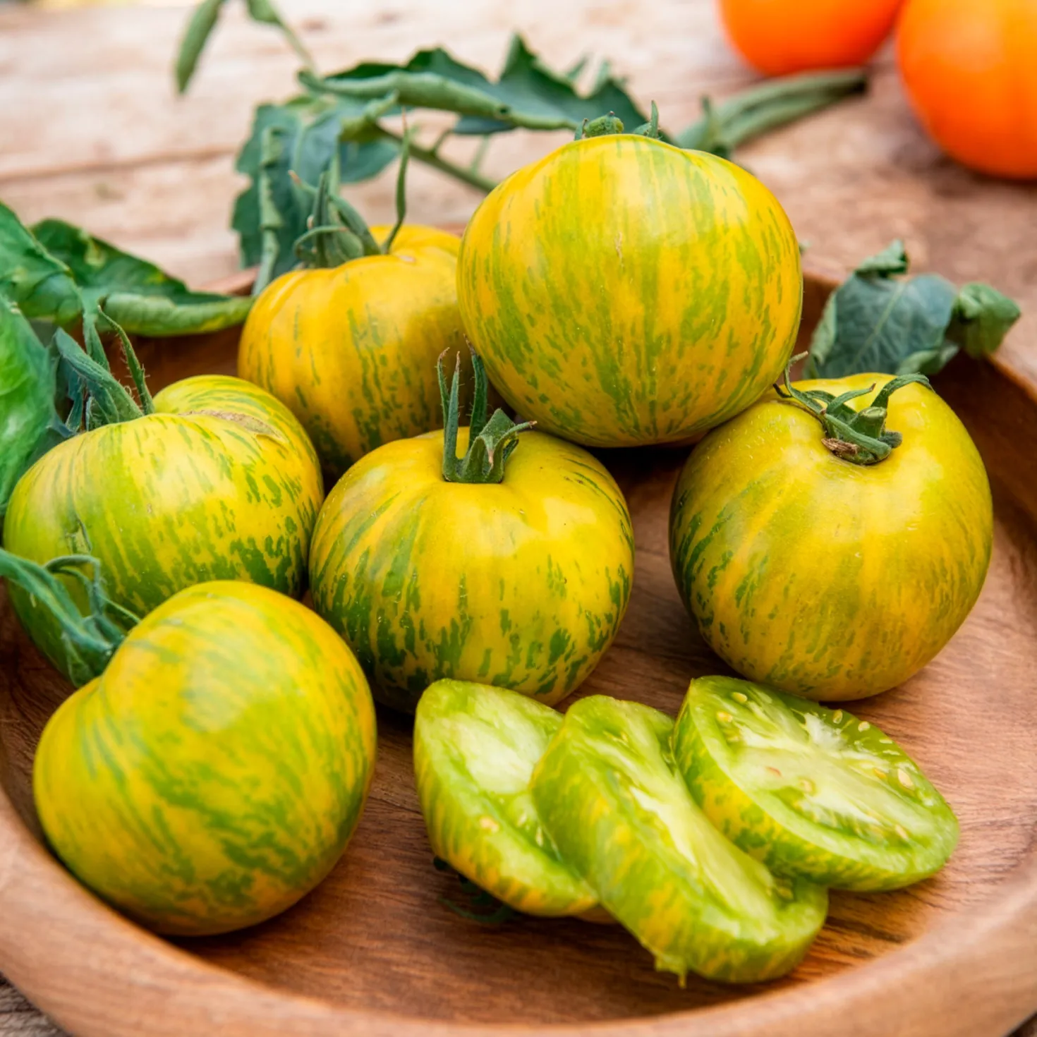 Tomate Green Zebra Pflanzen - Grün-gestreift und aromatisch