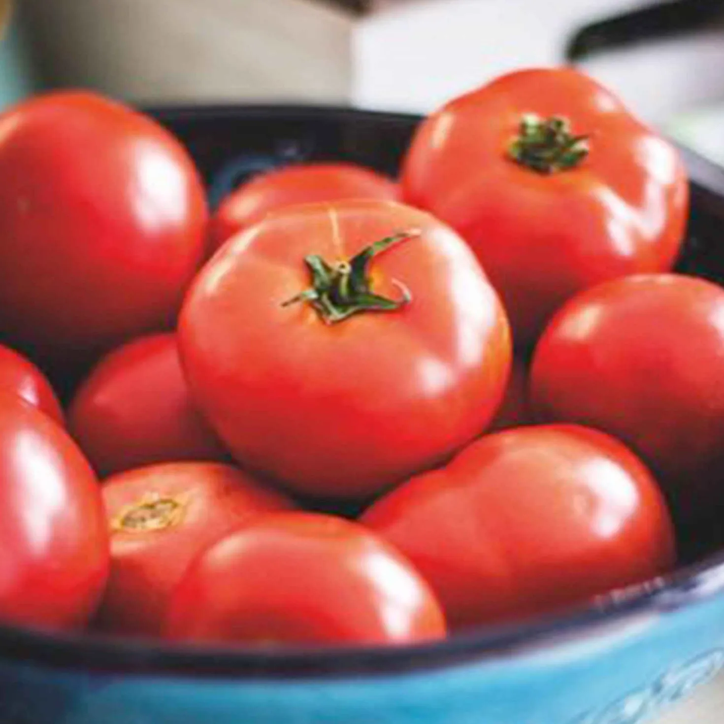 Tomate 'Moneymaker' - Volle Körbe voller Tomaten
