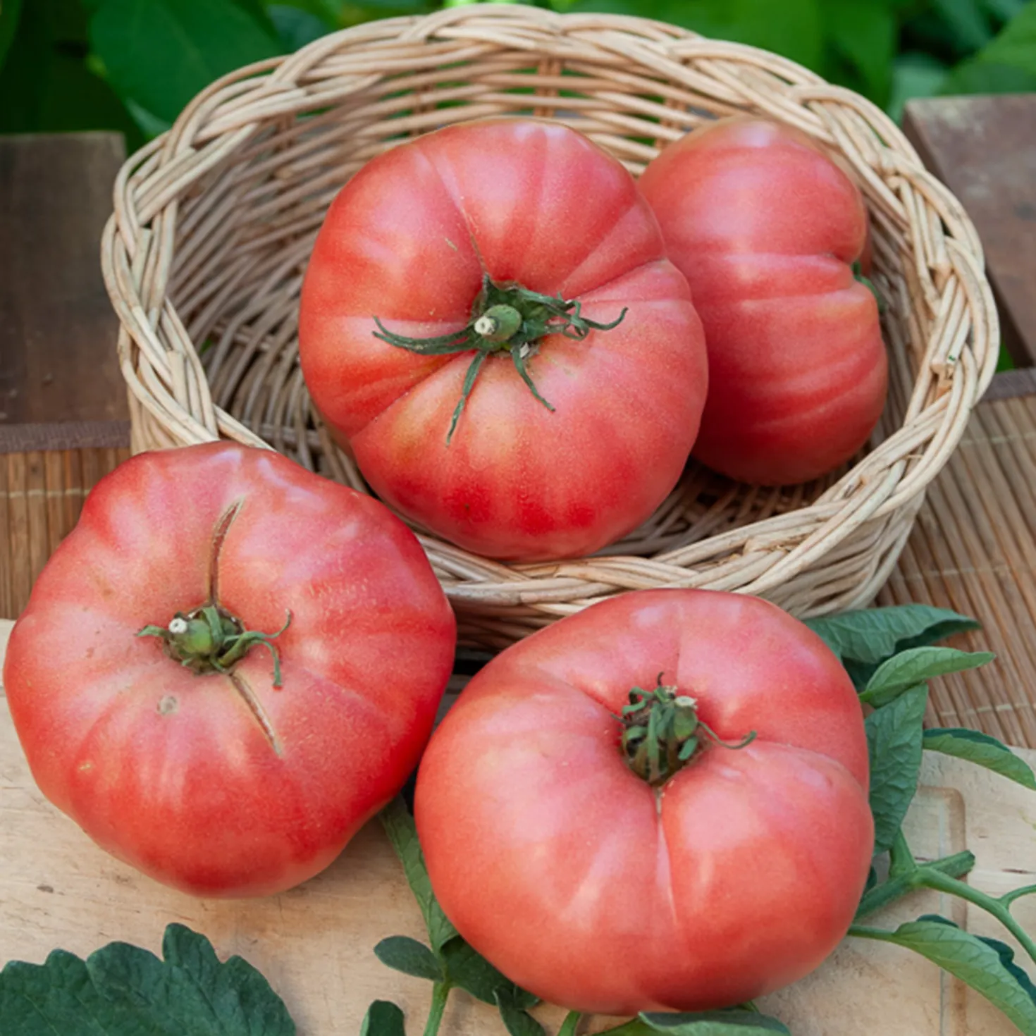 Tomate ‘Rose de Berne’ - Süß, saftig, unwiderstehlich