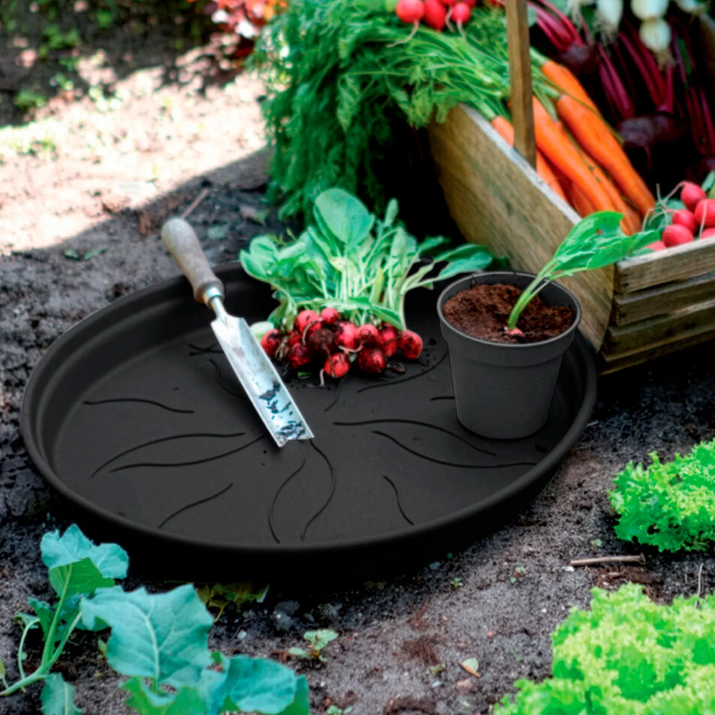 Untersetzer Green Basics Living Schwarz ELHO - Kein Wasser mehr am Boden