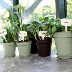 Untersetzer Green Basics Steingrün ELHO - Schützt Böden sofort
