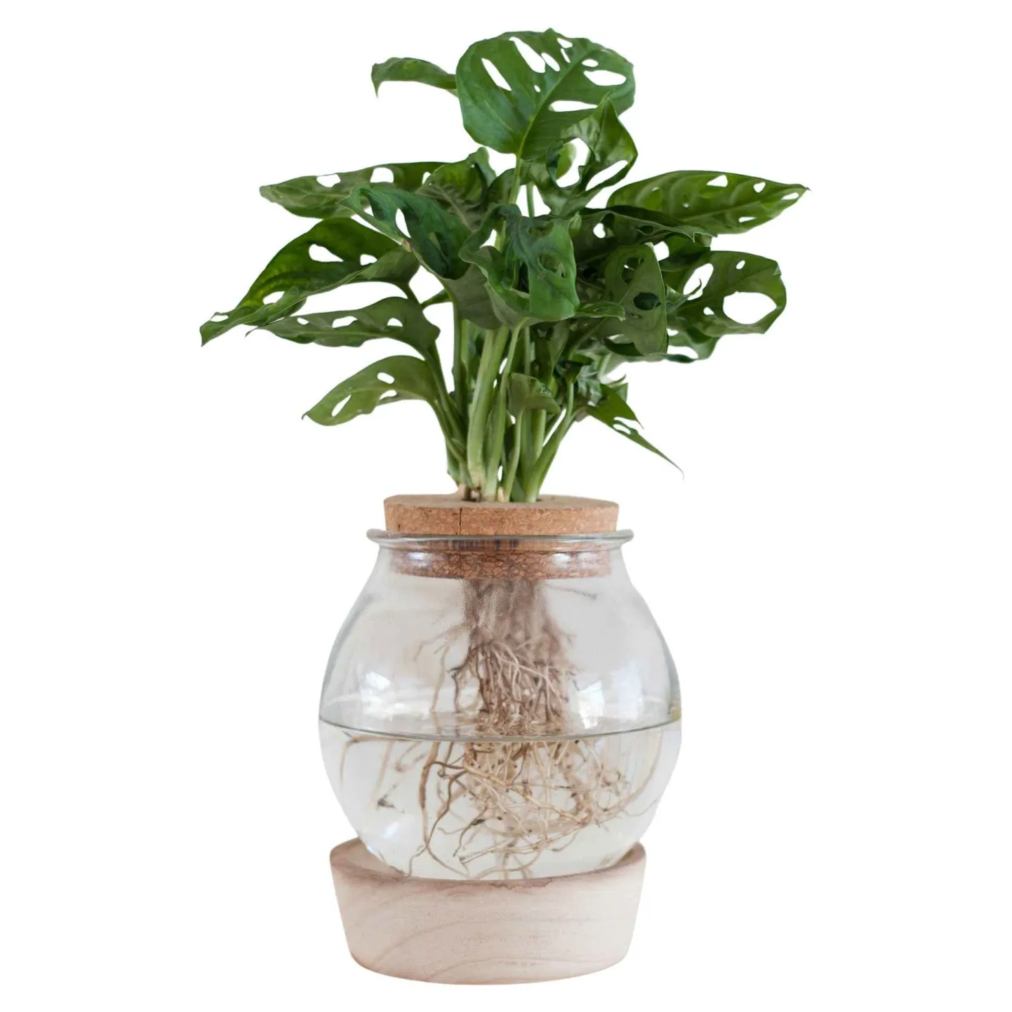 Vase mit beleuchtetem Holzständer - Licht und Deko in einem