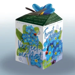 Vergissmeinnicht-Set - Blaues Blütenmeer im Frühling