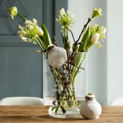 Wachs Amaryllis Magic White - Blüht ganz ohne Gießen