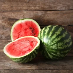 Wassermelone Citrullus 'Crimson Sweet' - Süß und saftig im Garten