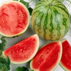 Wassermelone Crimson Sweet Bio - Süß, saftig, sonnengereift