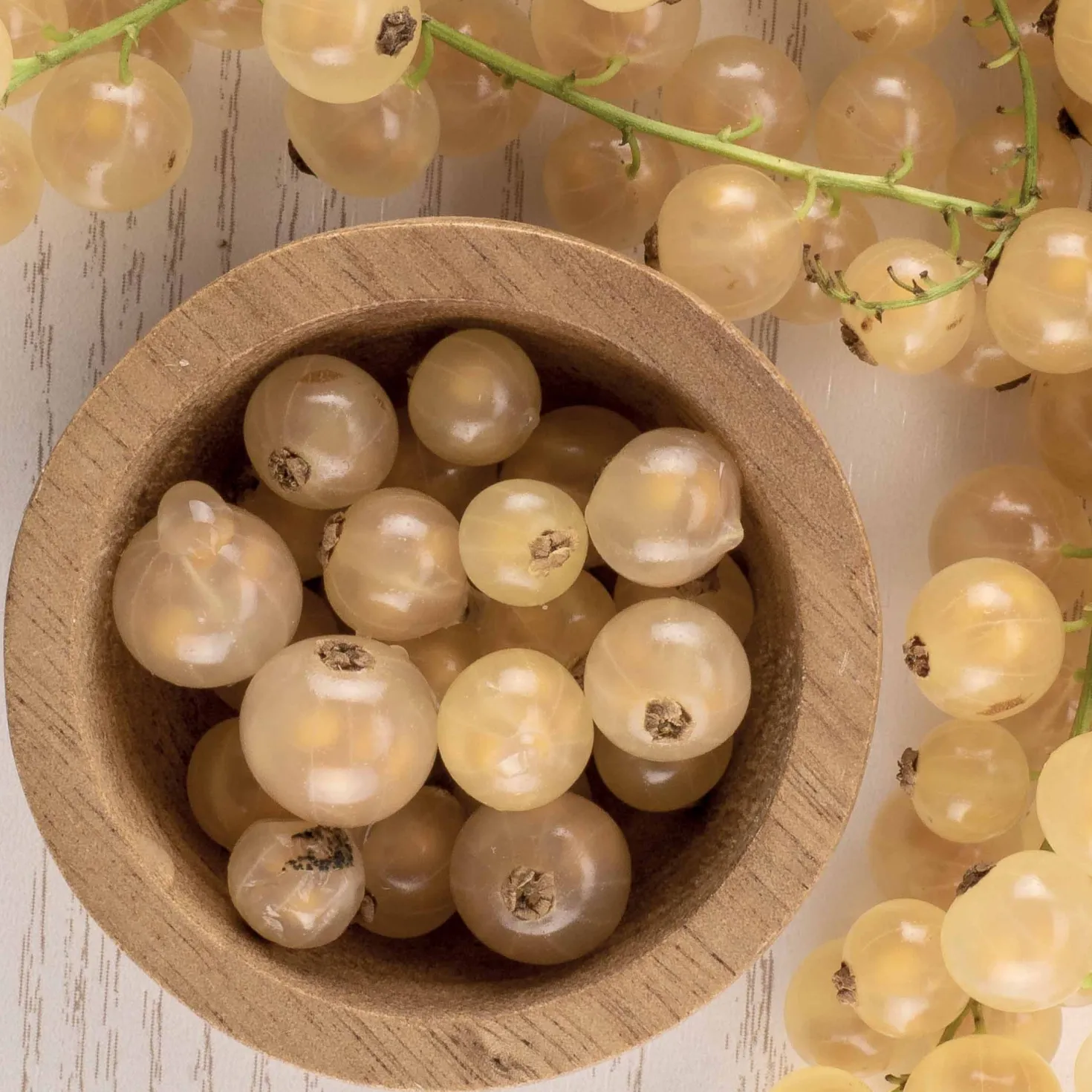 Weiße Johannisbeere White Pearl - Süße weiße Beeren