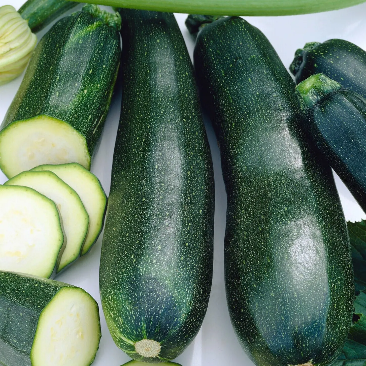 Zucchini Black Beauty - Ernte den ganzen Sommer
