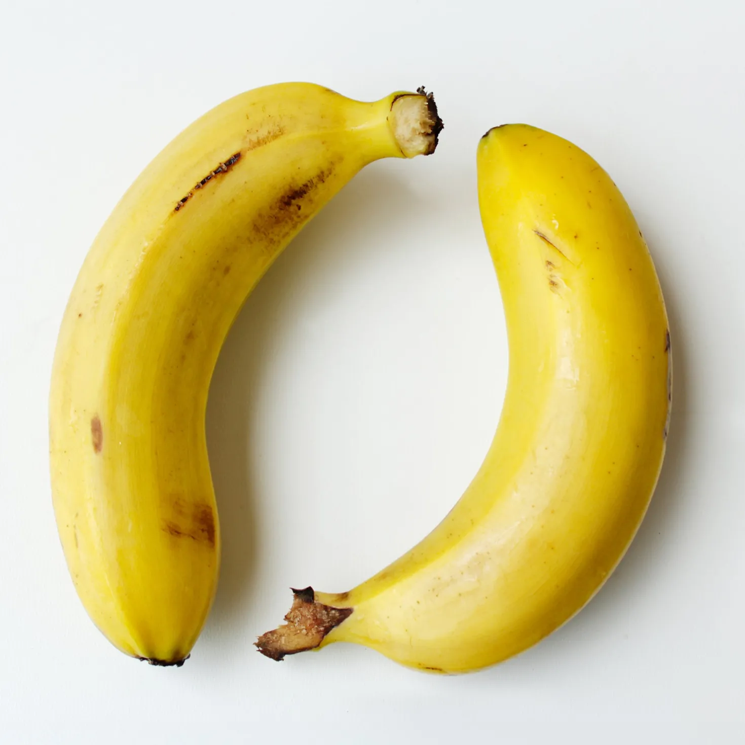 Zwergbanane Dwarf Cavendish - Echte Bananen vom Balkon